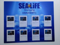 -沈阳海洋探索中心