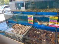 水产区-黄寺蒸汽海鲜(黄寺大街店)