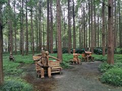 -黄海国家森林公园