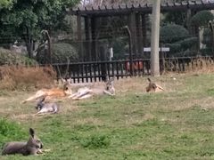 -南昌动物园