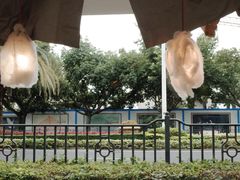 -野草莓自由市场