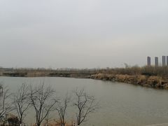 -西安浐灞国家湿地公园