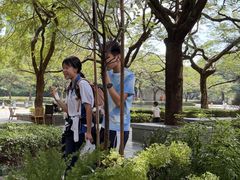 -缘生态云南菜·野生菌庭院餐厅(华侨城店)