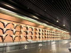 -大庆市博物馆