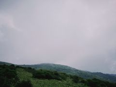 -秦岭风景区