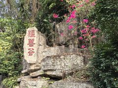 -深圳野生动物园