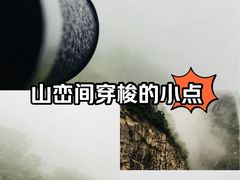 -洛阳白云山景区