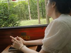 -合肥滨湖国家森林公园