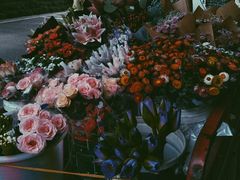 -白鹭湾湿地公园