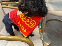 -Pull-Tab拉环咖啡(杭州市上城区来福士中心店)