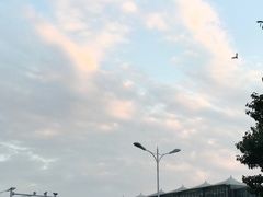 -厦门海港英迪格酒店(中山路店)