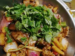 -大鸿运酒店·苏州菜·松鼠桂鱼(观前街店)