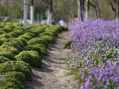-白塘生态植物园