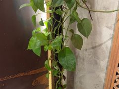 -江湖六膳門串串香(隆礼路店)