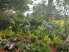 -东莞植物园