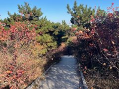 -北京西山国家森林公园