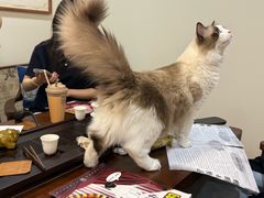 -剧狐剧本杀(徐汇1号店)