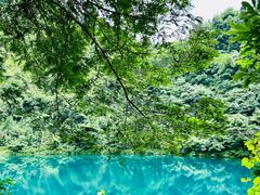 -西岭雪山大飞水景区