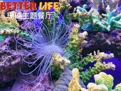 -御唐府海珊瑚主题餐厅
