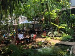-Fern Forest Cafe