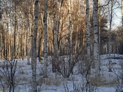 -长春市南湖公园