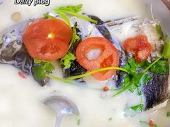 -全乐鱼馆·淳牌有机鱼直营店