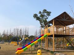 -上海长兴岛郊野公园