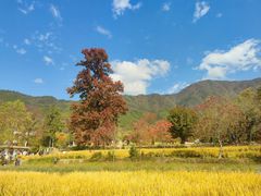 -塔川景区