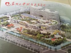 点击看大图 -苏州大学附属儿童医院(园区总院)