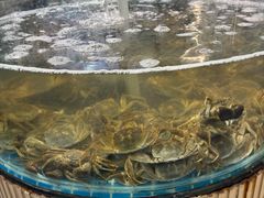 -仙螺岛海鲜自助餐厅(总店)