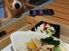 -SimplyTimes鎏金食堂