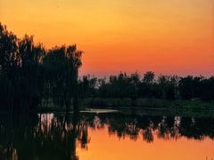 -东郊湿地公园