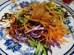 五彩大拉皮-川人百味(天津远洋未来广场店)