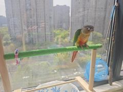-美美宠物诊疗中心·异宠·骨科(滨江东信分院)