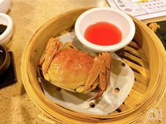 -点都德(大茶楼店)