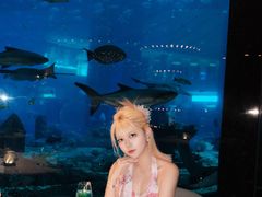 -亚特兰蒂斯•OSSIANO奥西亚诺海底餐厅