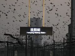 -沈阳站