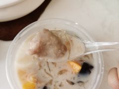 -凉凉海石花
