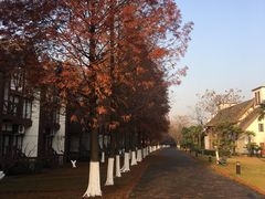 -太阳岛度假酒店