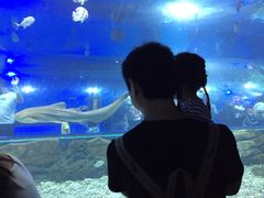 -重庆欢乐海底世界