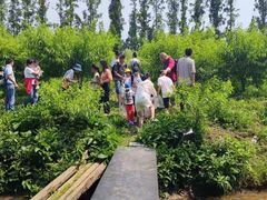 -前小桔亲子创意农场·草莓采摘·露营烧烤