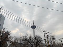 -辽宁电视塔