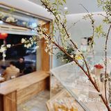 住店⭕️咖啡卡S3·思北 flower发发面包🌷