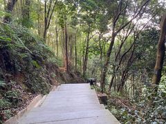 -广州市帽峰山景区