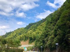 -花溪风景区