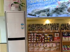-派联宠物医院·24h·CT·异宠