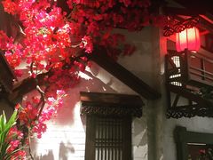 -浩海火烧云傣家菜(京广店)