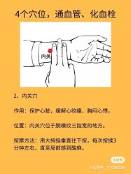 -香薇妮丝女子减肥院