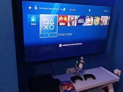 -浣熊部落ps4 ps5 switch 电玩(茶店子店)