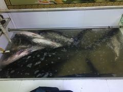 -老渔翁笨锅炖(迎宾路总店)
